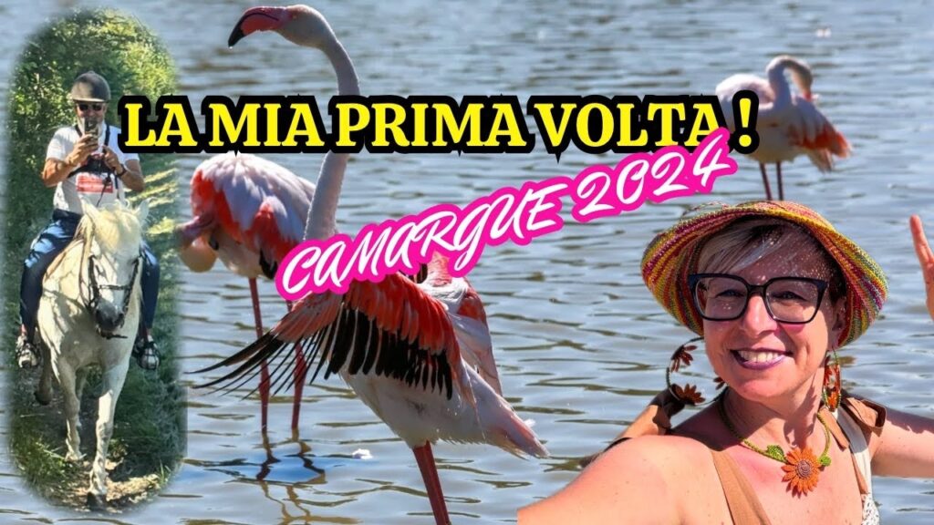 Camargue 2024, inseguiamo i Fenicotteri Rosa a cavallo, #viaggiare #vivereincamper #vanlifeitalia