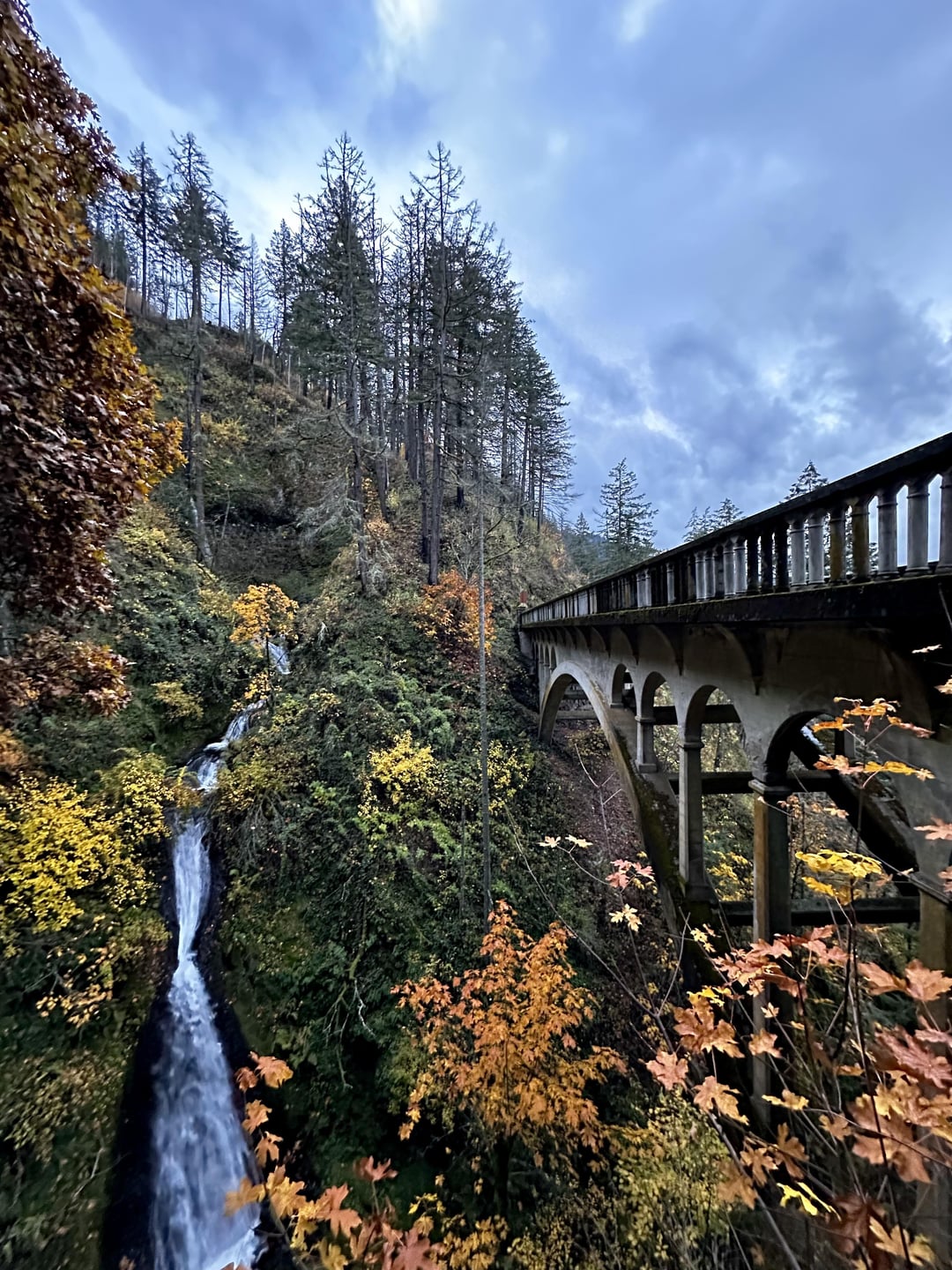 Oregon in Fall look like a giant golden ribbon laced across ba ...