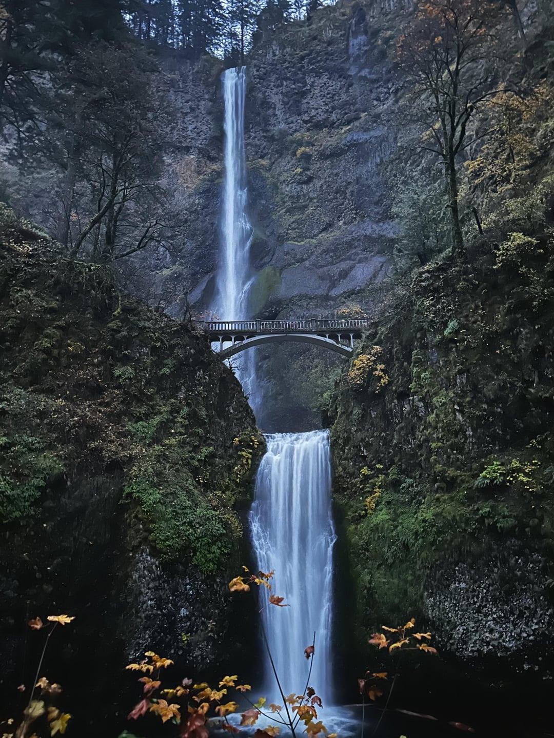Oregon in Fall look like a giant golden ribbon laced across ba ...