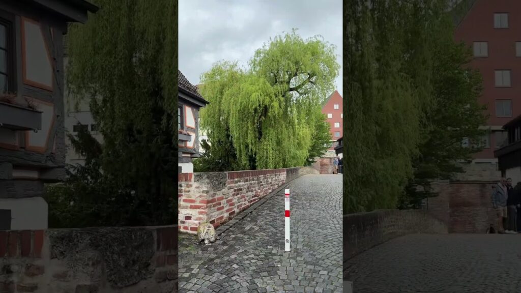 Ulm📍 #germany #travel #ulm #bayern #travelvlog #city
