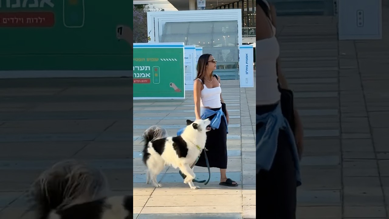 Daily Tel Aviv: Spring Comes #telaviv #shorts #2025 #ytshorts #tlv # ...