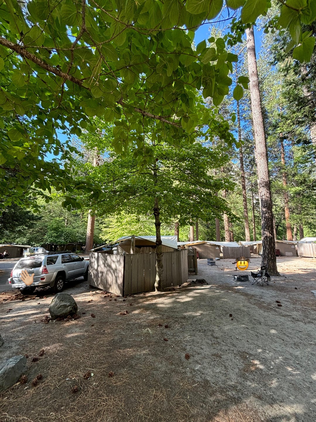 yosemite-trip-may-2025-la-vie-zine