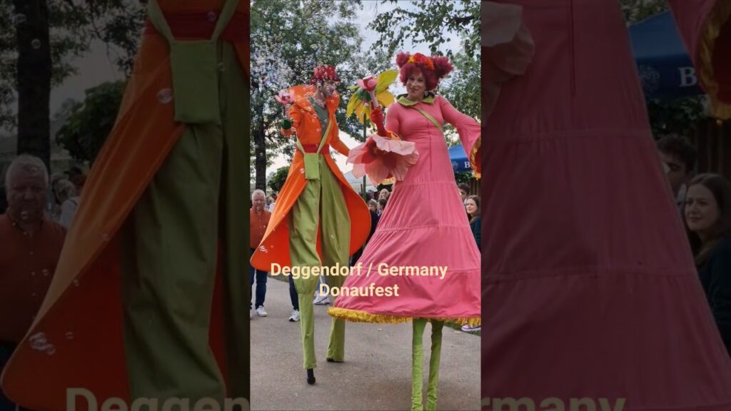 DONAUFEST in Germany #donau #deggendorf #germany #munich