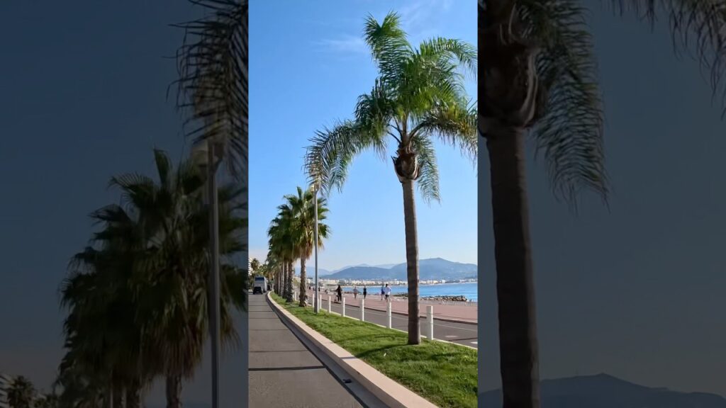 🇫🇷Promenade des Anglais, Nice - France