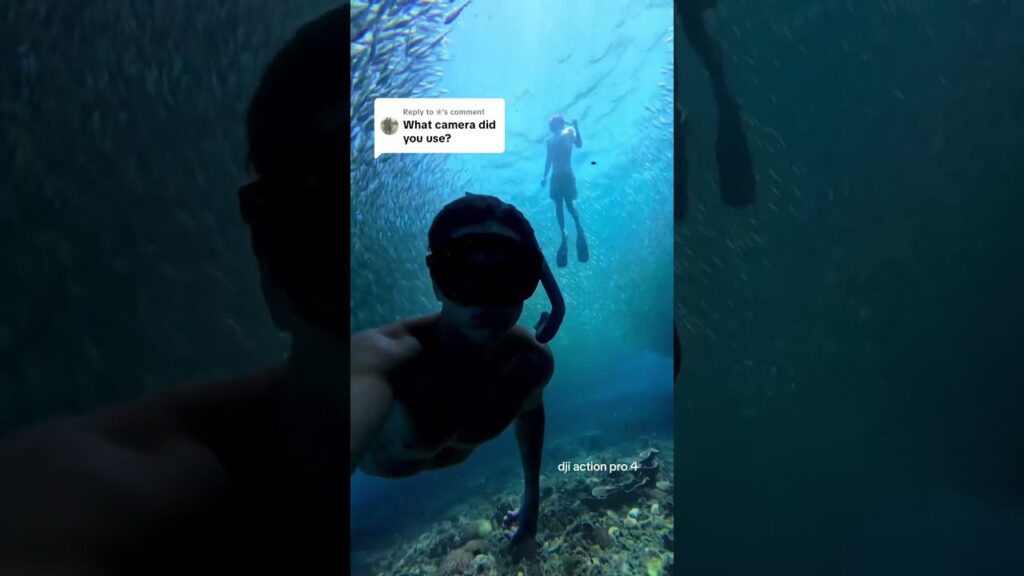 wants my settings #travel #southeastasia #freediving #kohtao #thailand