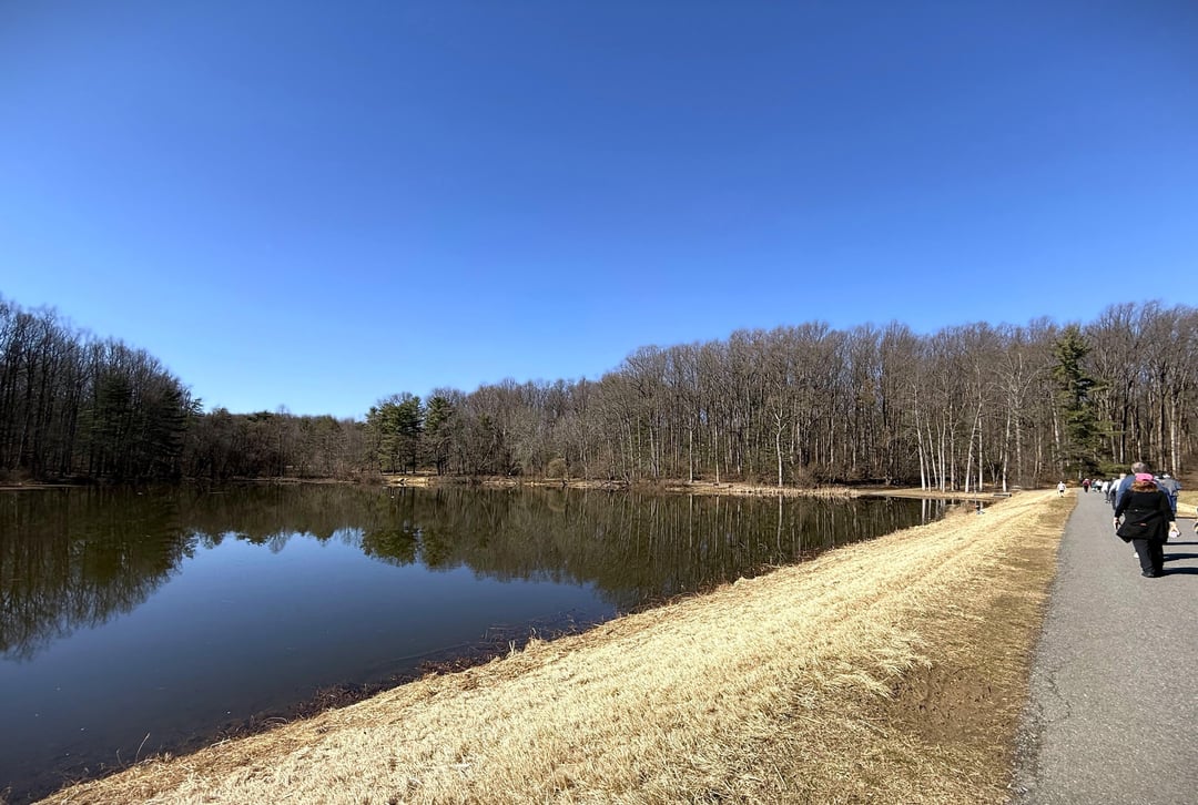 Another Explorer's Senior Hiking Event at Wheaton Regional Park, Silver ...