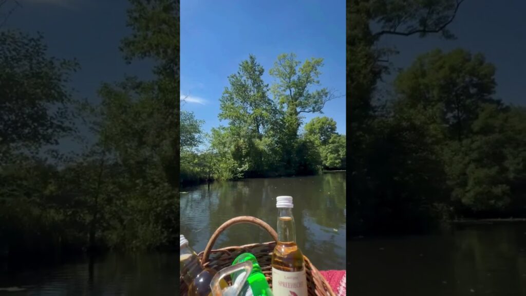 Spreewald #berlin #germany #shorts #viral #travel #river #germanytourism #tourist