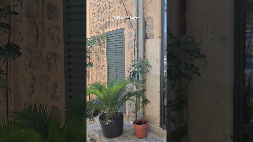 #soller #mallorca #spain #españa #español #travel #traveling #travelvlog #street #walking #walk #eu