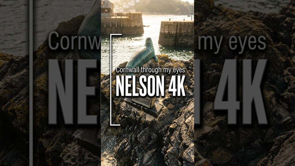 Cornwall | 4K Beautiful Looe Must-see Seal Nelson #cornwall #looe #visitcornwall #LooeHarbour Cornwall | 4K Beautiful Looe Must-see Seal Nelson #cornwall #looe #visitcornwall #LooeHarbour