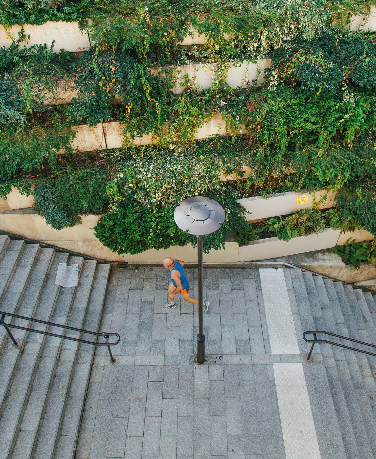 Aerial view of a runner on a staircase beneath ivy-covered building facade in Paris.