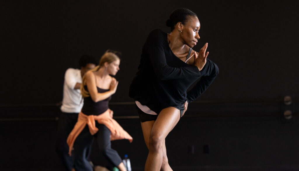 ‘Dance for Life’ puts the spotlight on healthcare gaps for Chicago performers