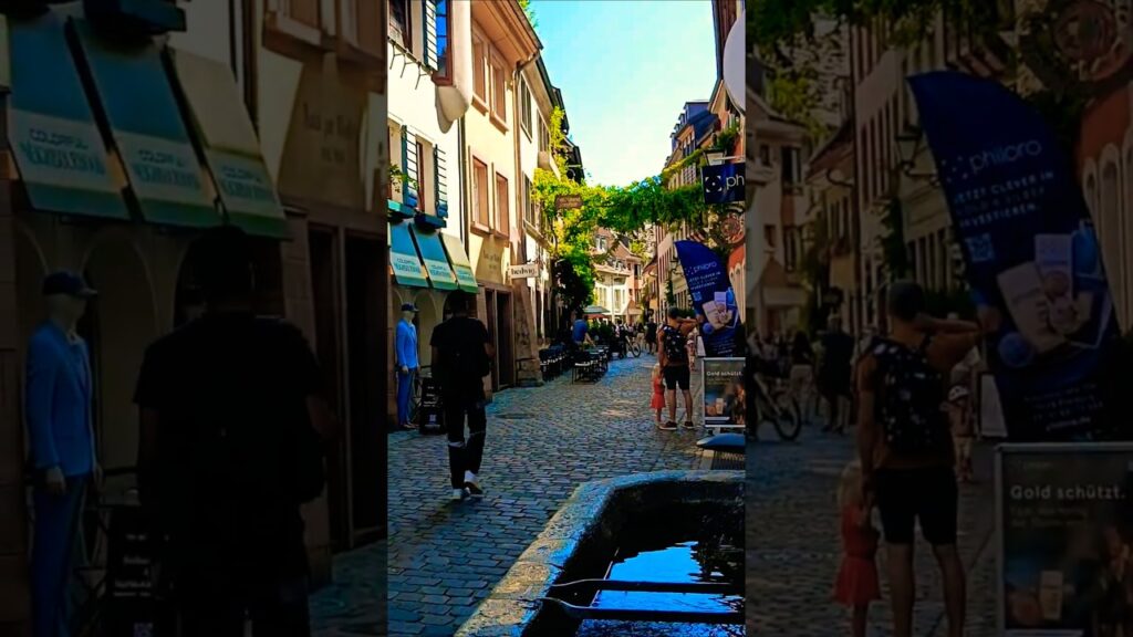 Lovely walk in Freiburg🥰 Germany 🇩🇪