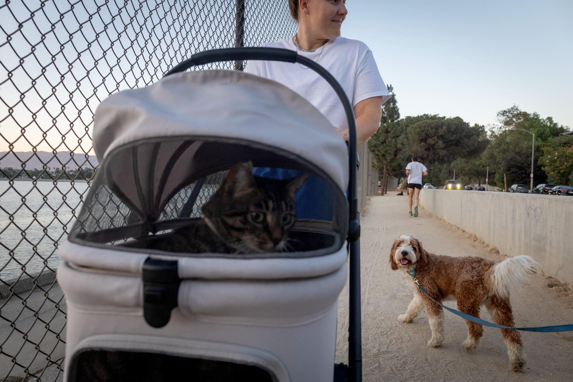 Allison Nill walks her two cats Lana and Steve (not shown) around the Silver Lake Reservoir.