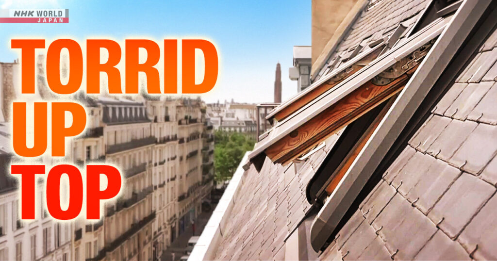 Heat wave in France puts rooftop dwellers in Paris at risk Heat wave in France puts rooftop dwellers in Paris at risk