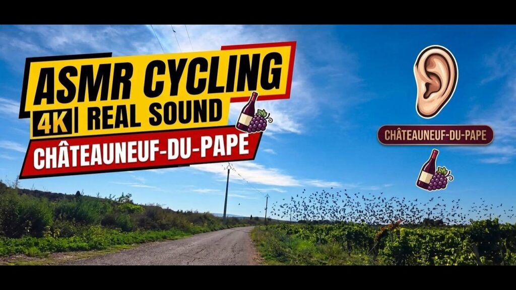 🚴♂️ ASMR Cycling France: Châteauneuf-du-Pape Vineyards Ride 🇫🇷 Real Bike Sound 🚴♂️ ASMR Cycling France: Châteauneuf-du-Pape Vineyards Ride 🇫🇷 Real Bike Sound