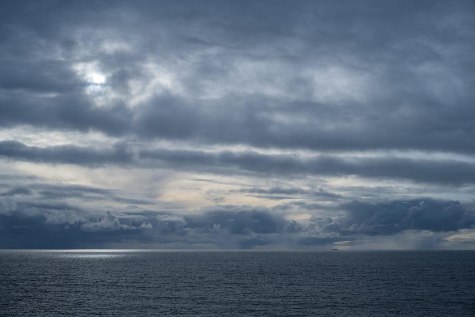 El Niño Could Bring Unusual Marine Life to SoCal El Niño Could Bring Unusual Marine Life to SoCal
