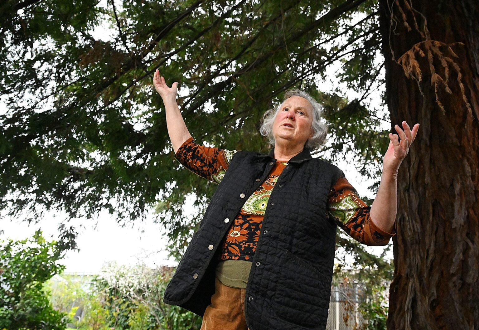 Mare Island Preserve activist Myrna Hayes calls arrest ‘unjust’ – Times Herald Online