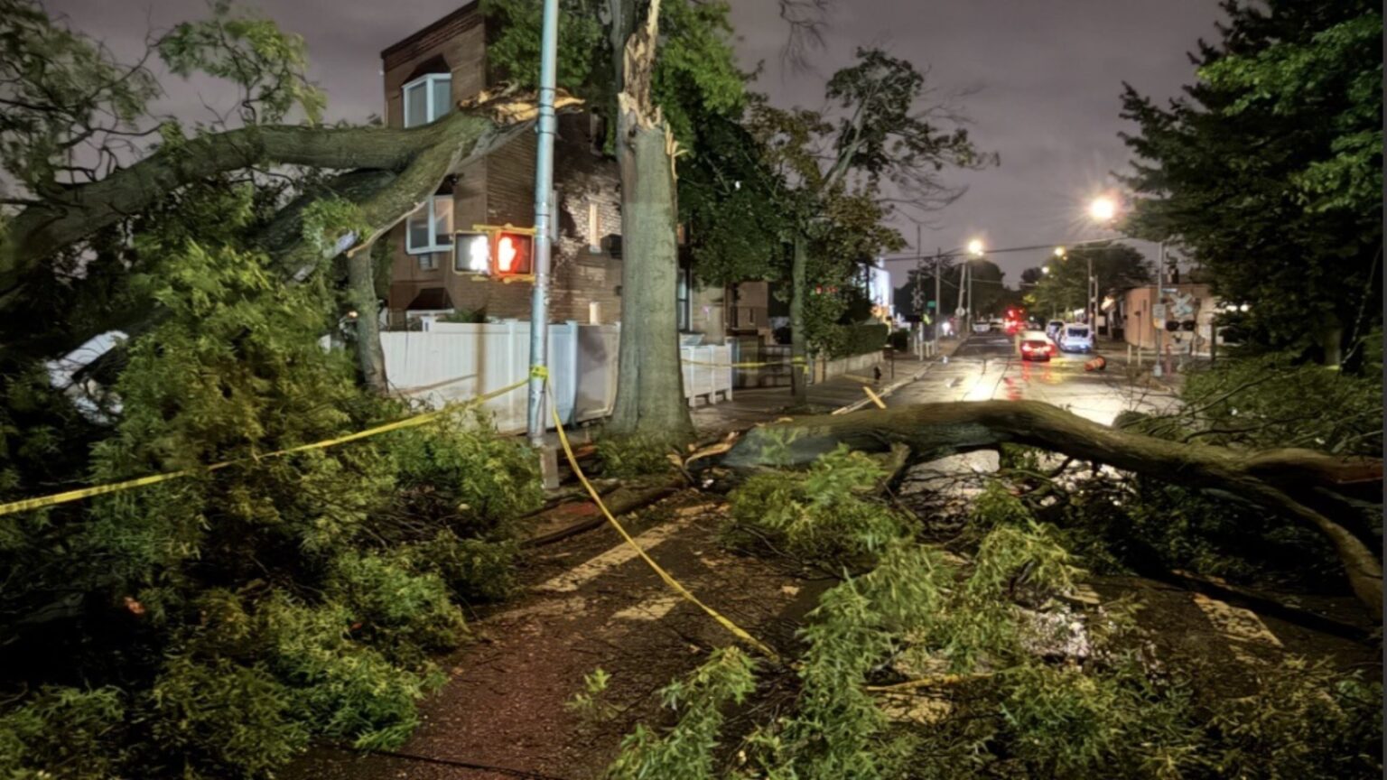 Nor’easter threatens NYC with flooding, wind damage; 1 person killed by falling tree Nor'easter threatens NYC with flooding, wind damage; 1 person killed by falling tree