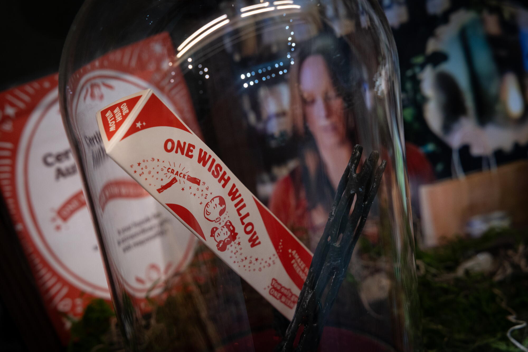  A One Wish Willow stick in a glass bottle is on display in a store