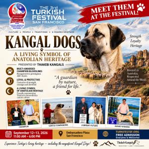 KANGAL 2