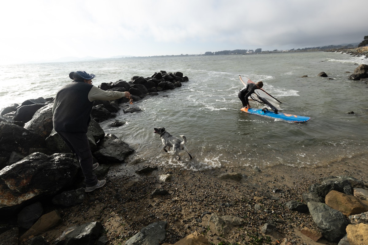 Hazy plays with her human, Rick Welsh, at Point Isabel Regional Shoreline. Regulators investigating pet pesticides focused on flea and tick treatments that get washed down drains and into sewage treatment plants, but swimming dogs may contribute some chemicals more directly.