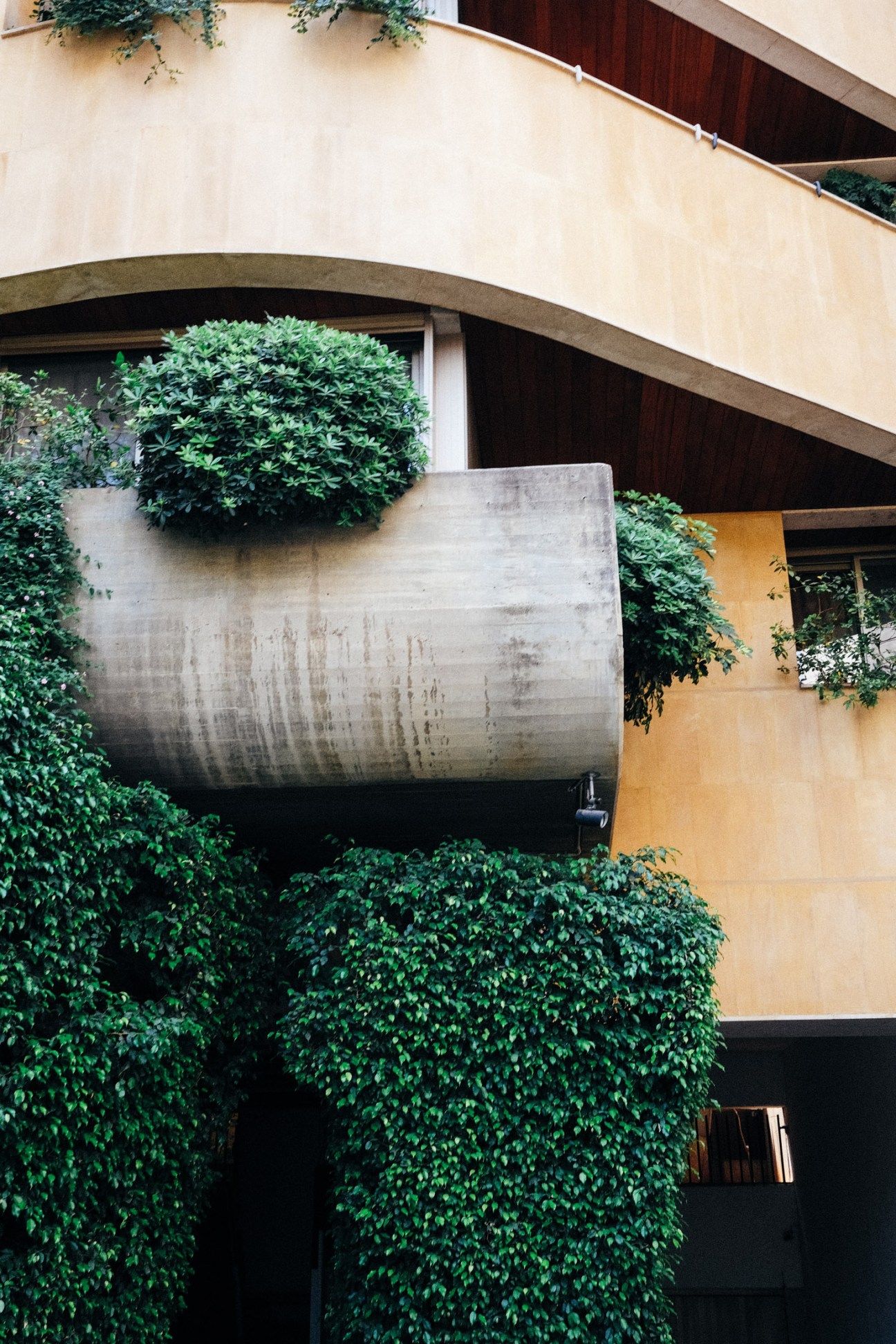 Ivy climbing over a brutalist concrete cylindrical structure on a modern building facade with green balconies above.