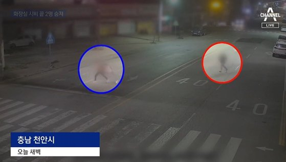 A man in his 50s attacked four people gathered for a couples' meeting with a knife on a road in Seobuk-gu, Cheonan, Chungcheongnam-do. Screenshot from Channel A - Seoul Economic Daily Society News from South Korea
