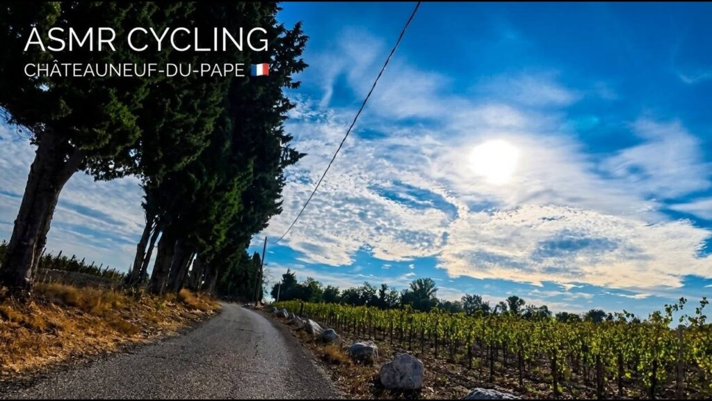 🚴♂️ 4K ASMR Cycling France: Scenic Châteauneuf-du-Pape Vineyards 🇫🇷 (Pure Bike Sounds) 🚴♂️ 4K ASMR Cycling France: Scenic Châteauneuf-du-Pape Vineyards 🇫🇷 (Pure Bike Sounds)