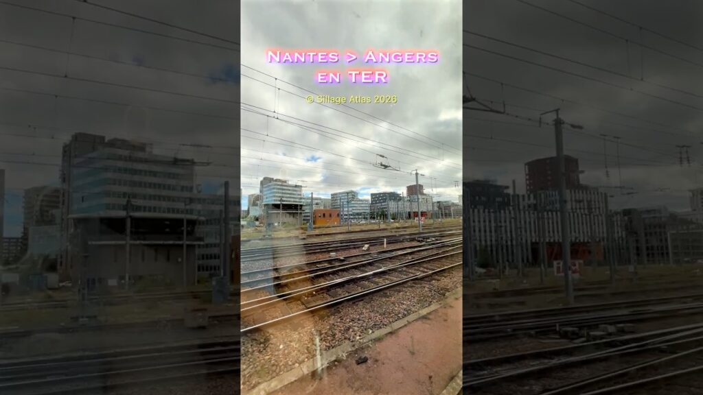 TER Nantes → Angers 🚉🧳 TER Nantes → Angers 🚉🧳