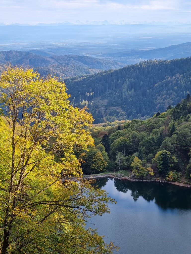 Lac des Perches (Vosges, France) with the Swiss Bernese Alps in the background Lac des Perches (Vosges, France) with the Swiss Bernese Alps in the background