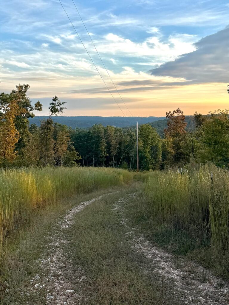 First time camping on land I own (ozarks)